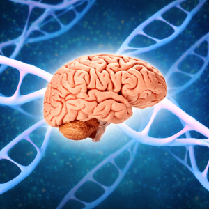 human anatomy and biology STEM learning products for students